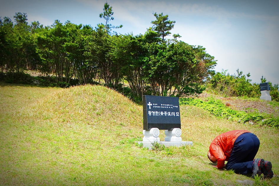 추자도 사모곡