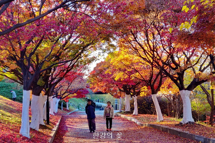 올림픽공원의 가을색