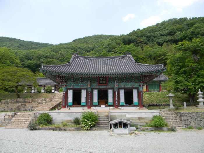 함평 모악산 용천사 (대웅전, 꽃무릇)