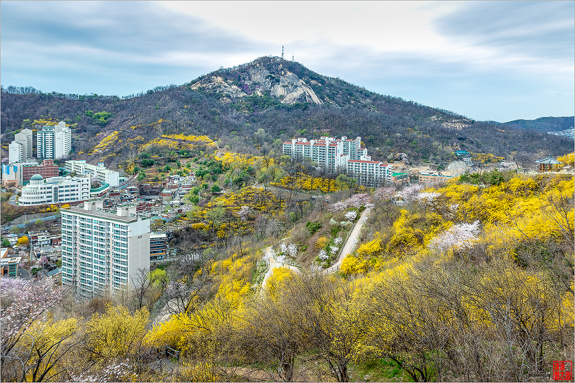 2019.04.09 인왕산 개나리길을 걷다