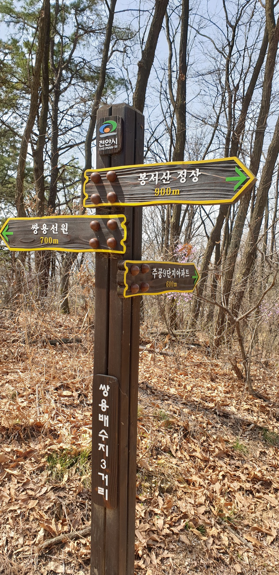 천안 봉서산 구름다리