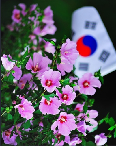 6월, 우리 이미지