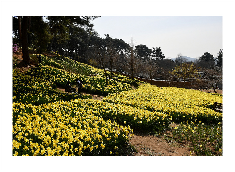 서산 여미리 유기방 가옥(4월7일)...