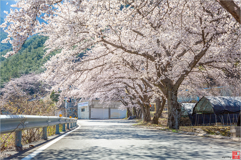 2019.03.31 백두대간 웅석봉에서 조망에 취한 날