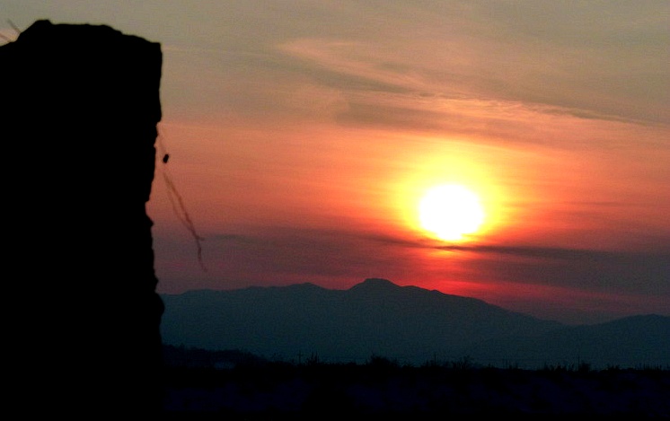 9956DC4E5DF7020F2C2F5B