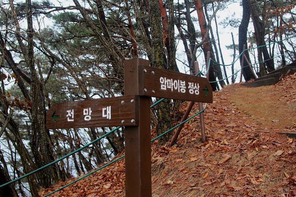 馬耳山 始山祭 山行