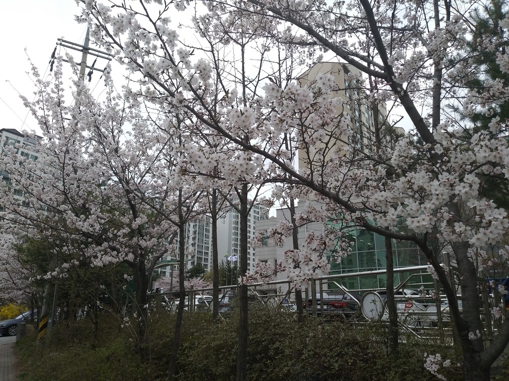19.4.9(화)