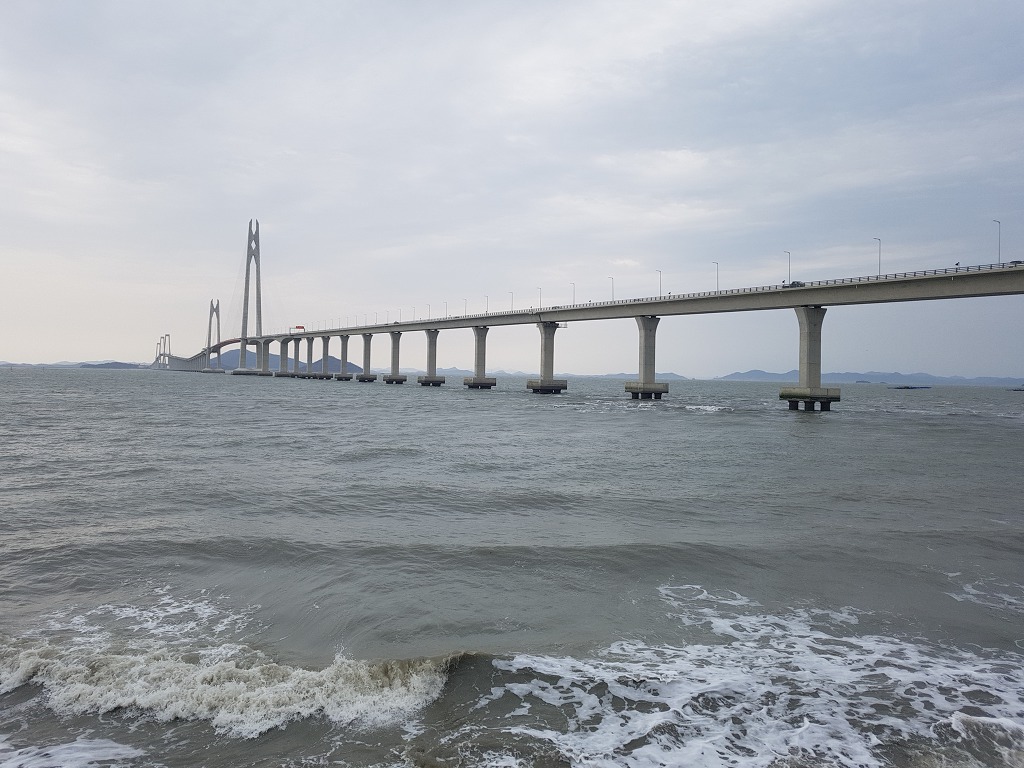 선지지견학