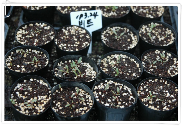 때가 되면... (여주 산새랑게스트하우스)