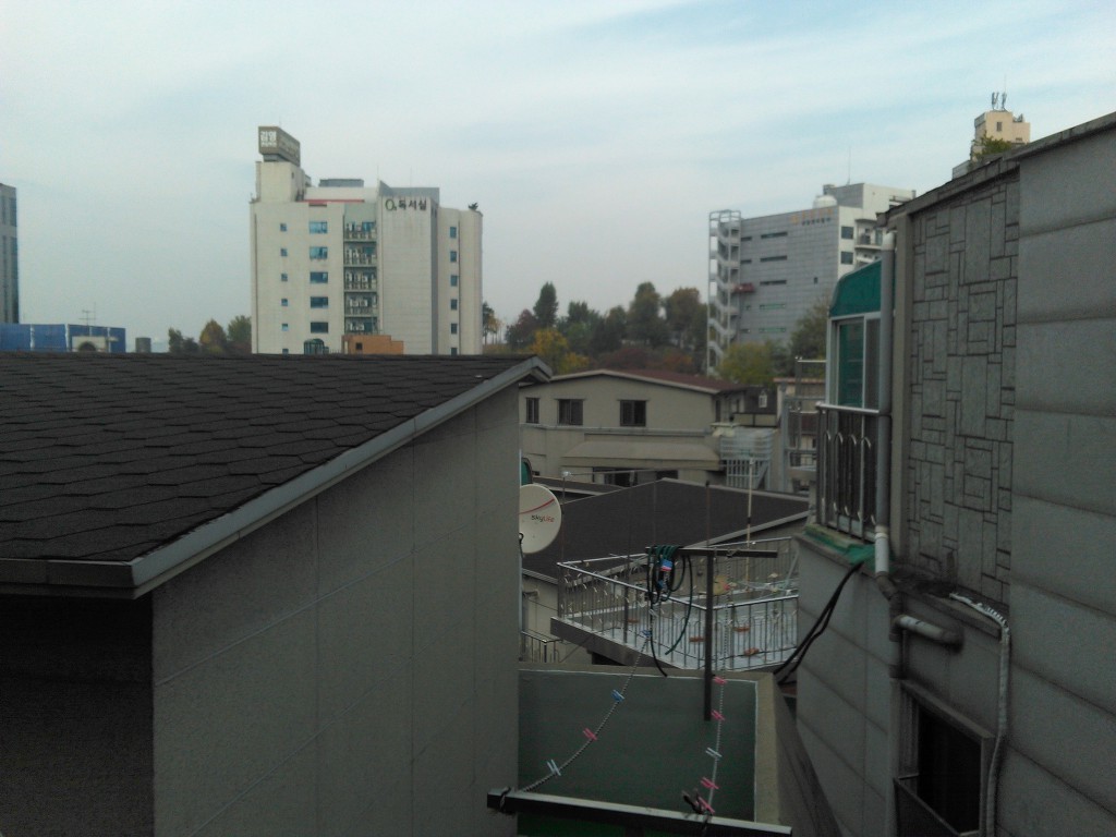 17.11.7(火)