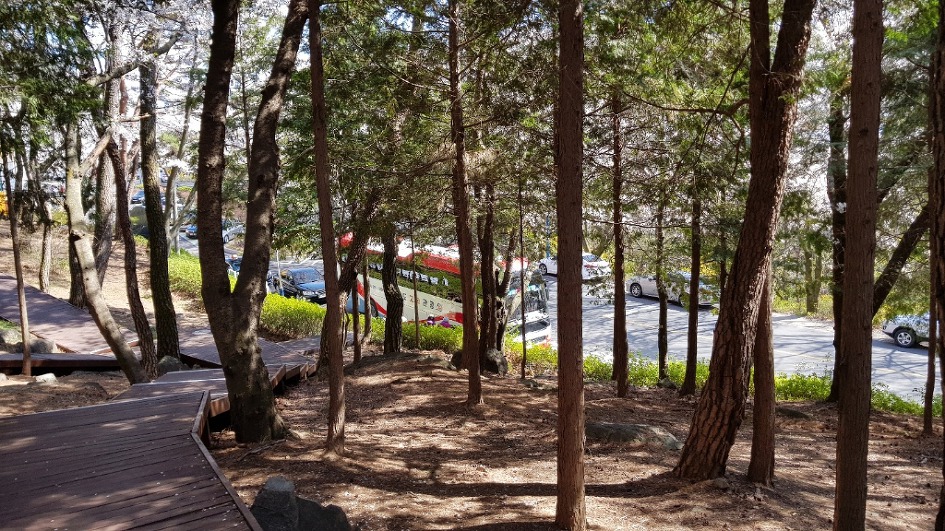 불모산과 장복산 꽃길만 걸었다