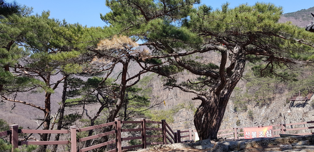20190402 내연산 보경사 선일대에 오르다..