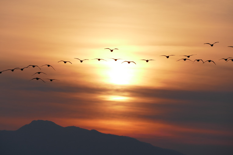 99902D3A5DF4F5082B2C6A