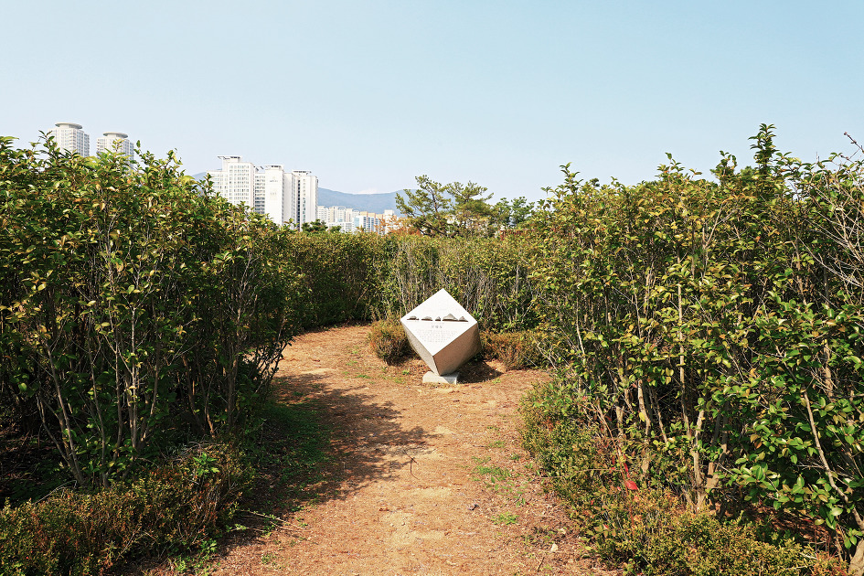 미로정원 (부산시민공원. 2018.10.17.수)