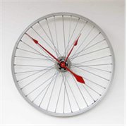 가시물고기
