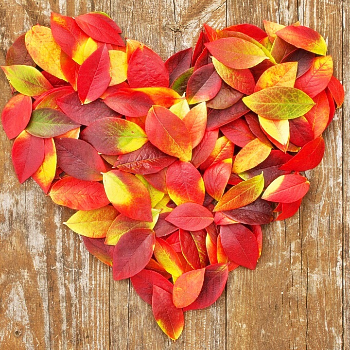 999D78415D9EF5B2426638