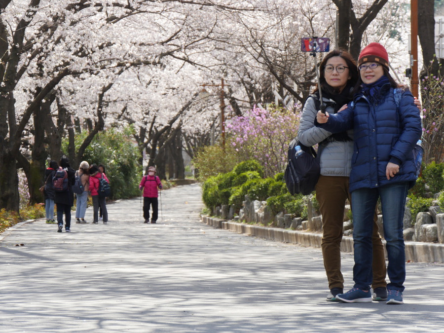 앞산 공원 답사