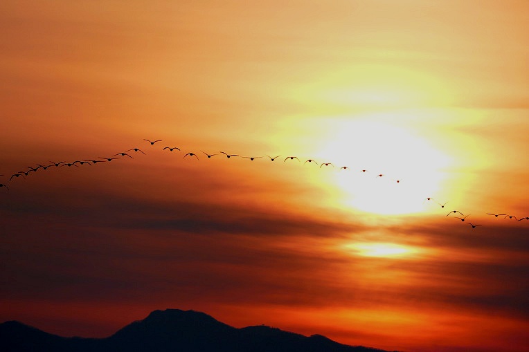 99A465335DF4F46D2A52C5