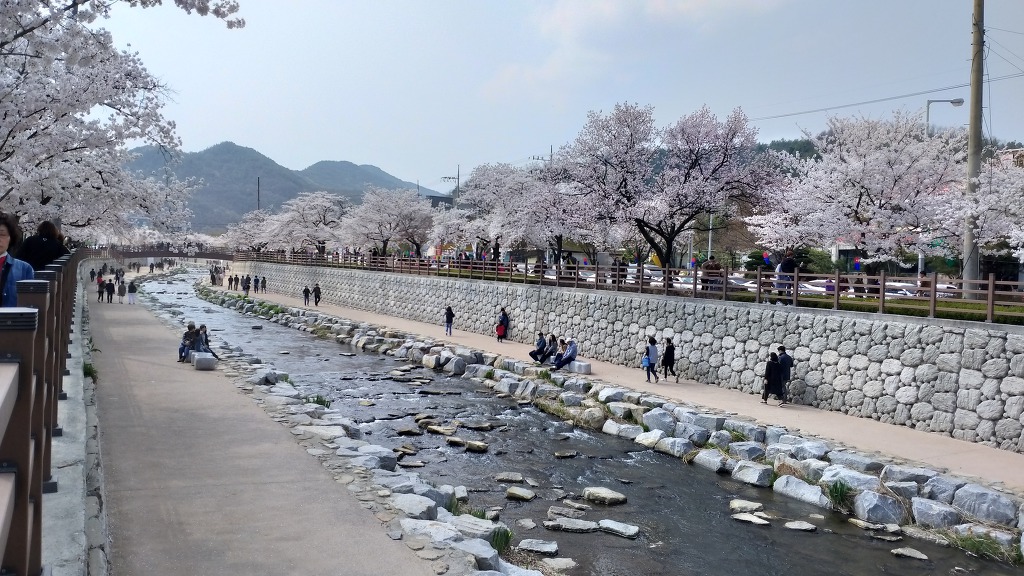 벚꽃따라걷는길