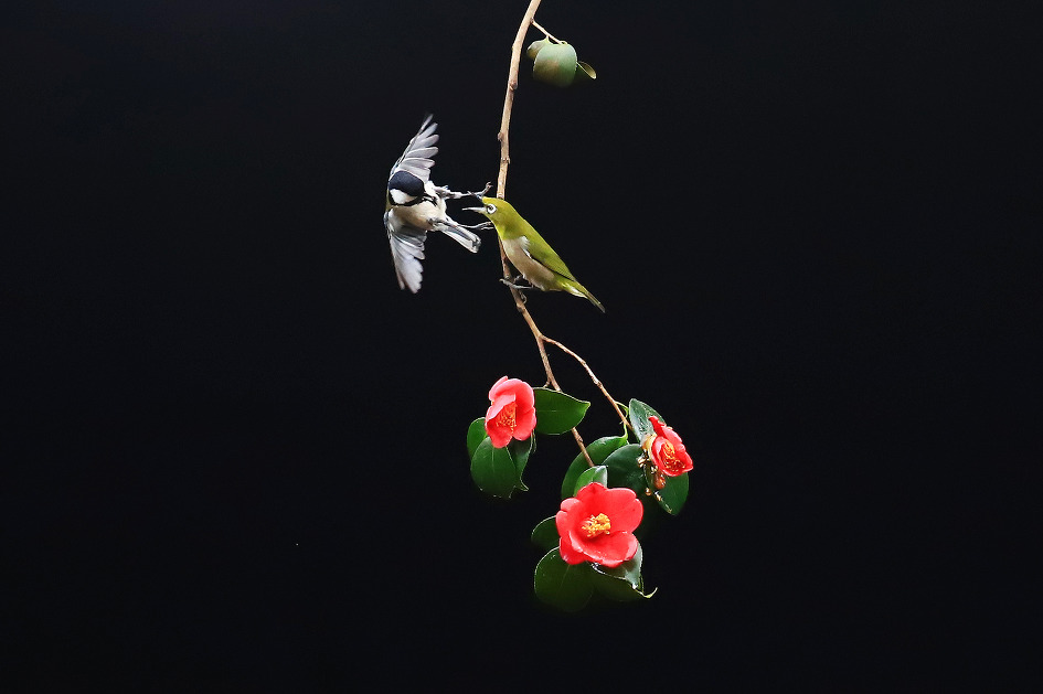 자리다툼 (2019.03.06.수)