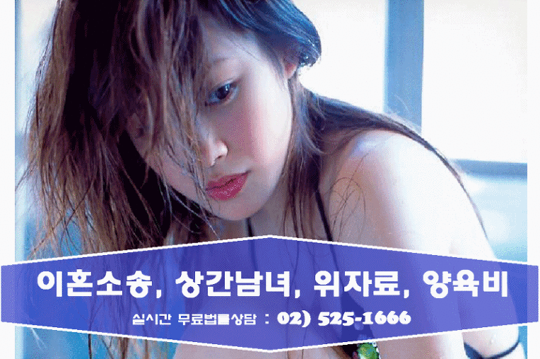 이혼소송 재산분할