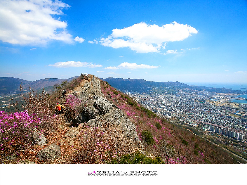 경남 진해 산행(1부)/장복산(덕주봉)&산벚꽃.진달래 핀 멋진 능선길을 따라서 .. 【19년3월31일】 