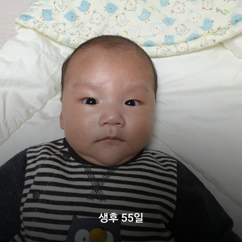 생후 55일