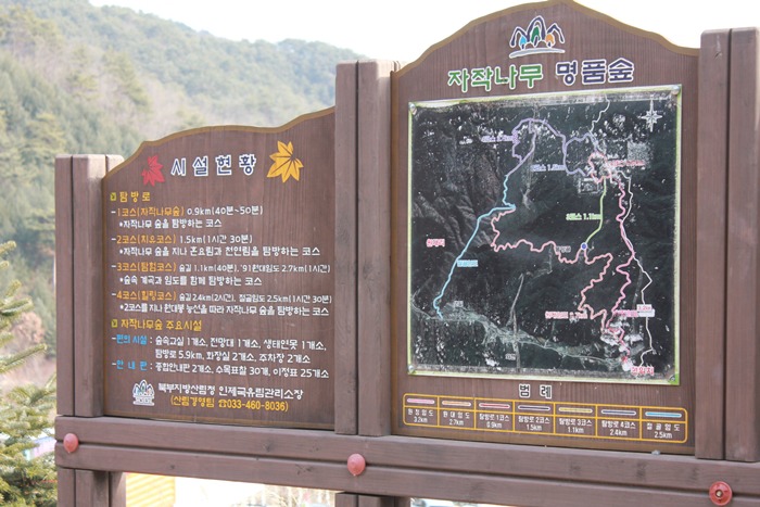 원본이미지(클릭)