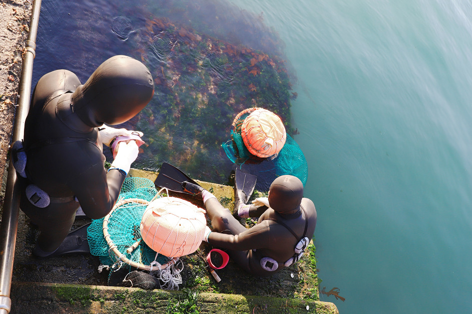 해녀들의 바다 (공수마을. 2019.02.13.수)