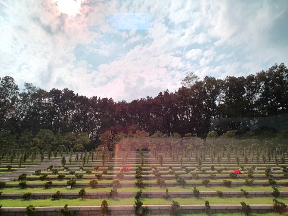 99BF384A5D91E9FF1A8811