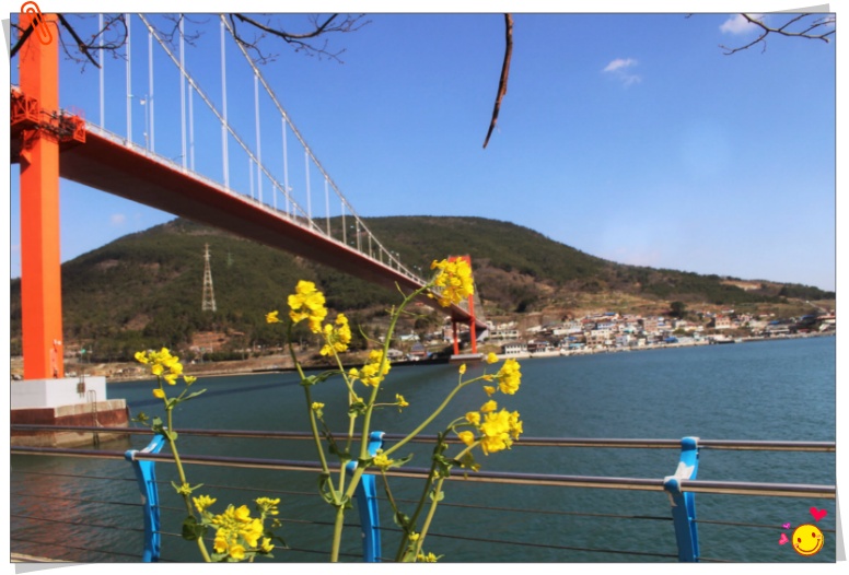 경남 남애 봄꽃여행 