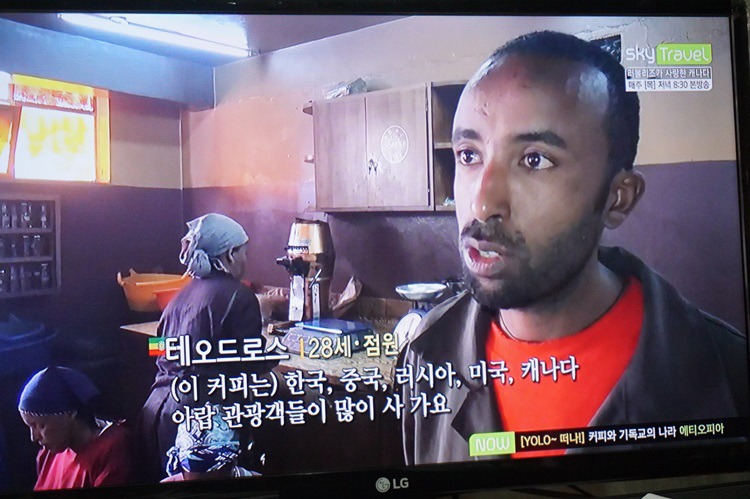 원두 판다 이미지