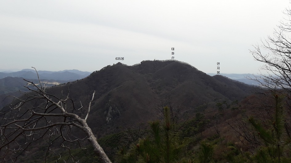 광주 태화산 미역산지나 섭산 웃골산 산길(2019년4월7일)