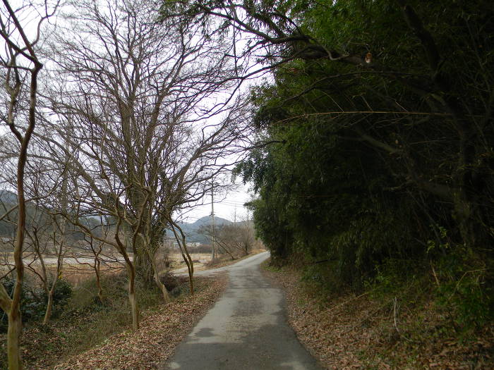 광주 충효동 취가정 (취시가 표석)