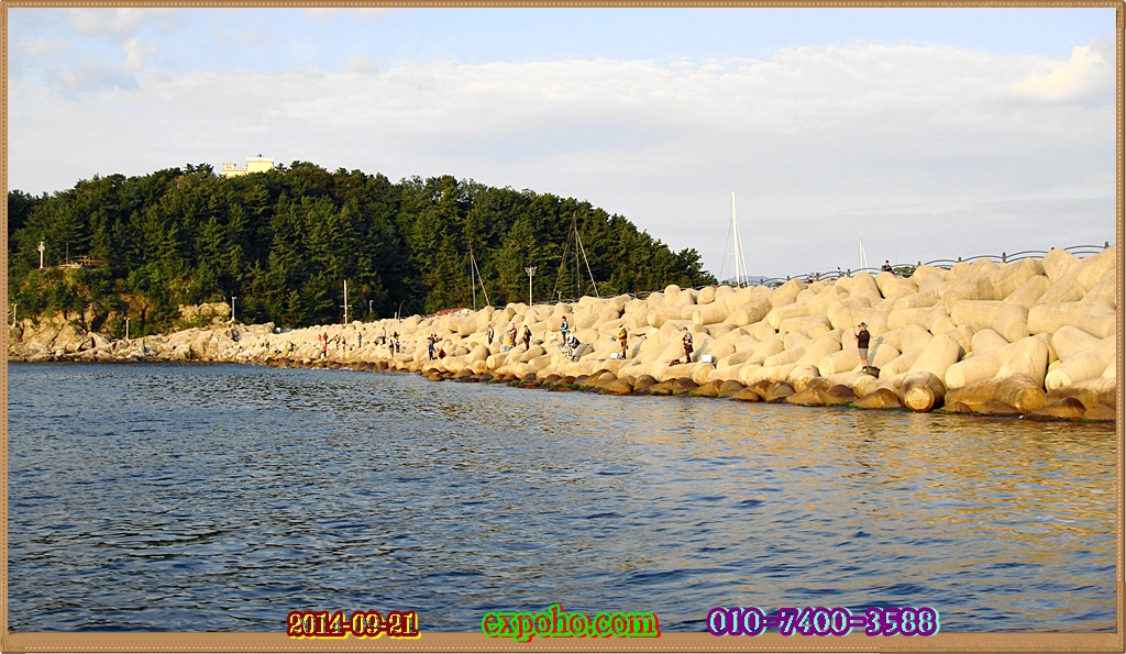 2453AF3C541EDF34195E75